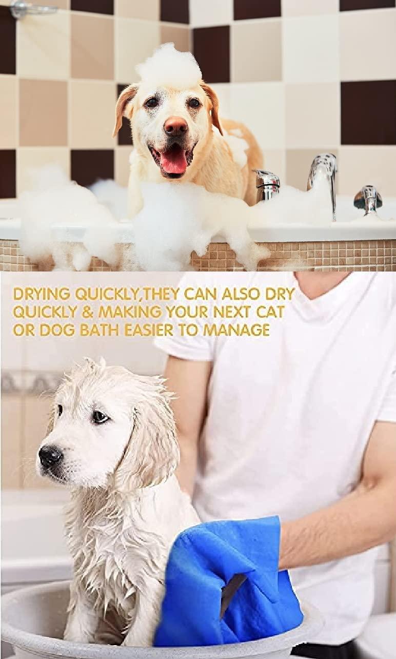 Anti-Itch Dog Shampoo|Ditch to Itch 300ml Pack of 1